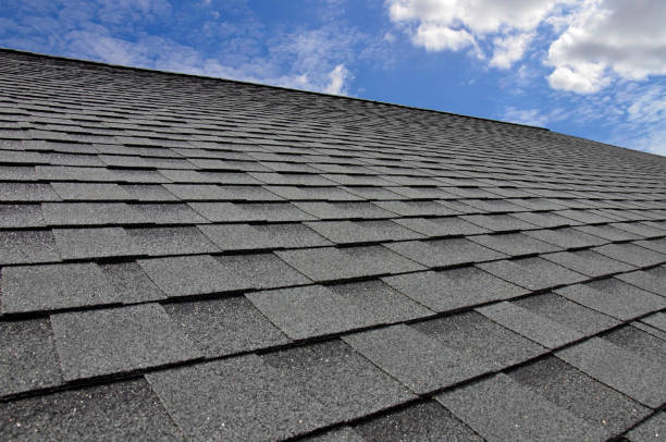 Best Roof Ventilation Installation  in Brooklyn Park, MN